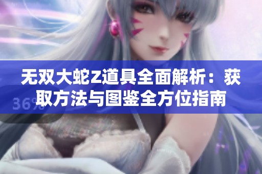 无双大蛇Z道具全面解析：获取方法与图鉴全方位指南
