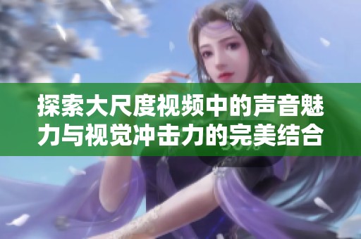 探索大尺度视频中的声音魅力与视觉冲击力的完美结合