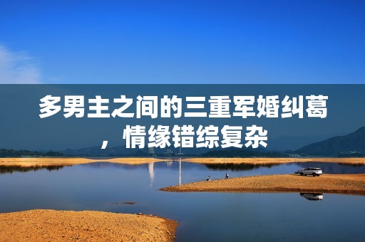 多男主之间的三重军婚纠葛，情缘错综复杂