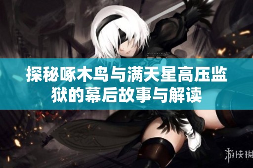 探秘啄木鸟与满天星高压监狱的幕后故事与解读