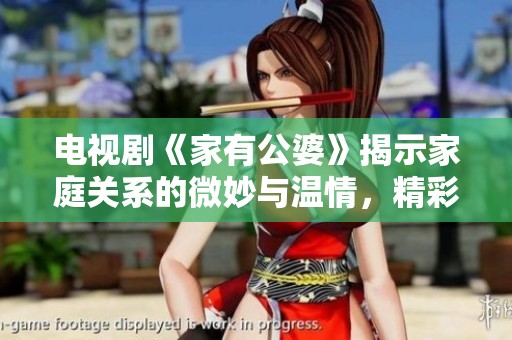 电视剧《家有公婆》揭示家庭关系的微妙与温情，精彩不容错过