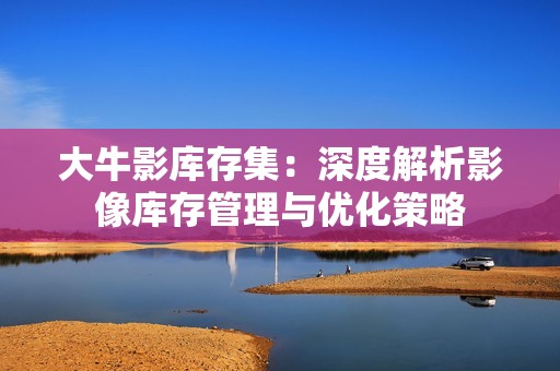 大牛影库存集：深度解析影像库存管理与优化策略