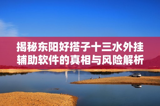 揭秘东阳好搭子十三水外挂辅助软件的真相与风险解析