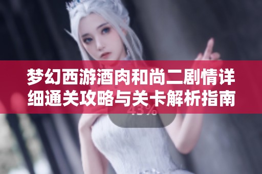 梦幻西游酒肉和尚二剧情详细通关攻略与关卡解析指南