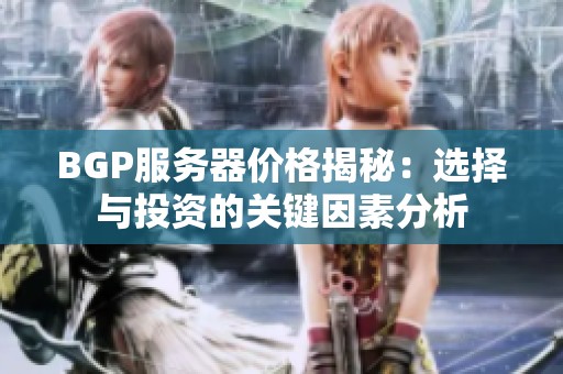 BGP服务器价格揭秘：选择与投资的关键因素分析