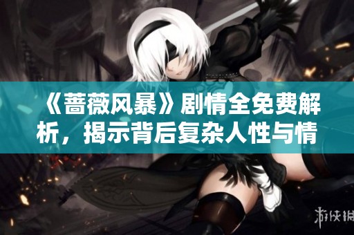 《蔷薇风暴》剧情全免费解析，揭示背后复杂人性与情感纠葛
