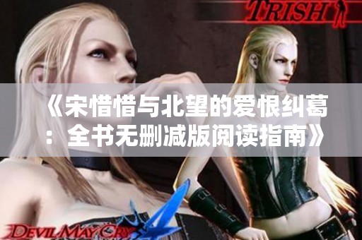 《宋惜惜与北望的爱恨纠葛：全书无删减版阅读指南》