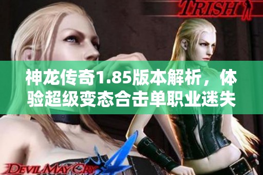 神龙传奇1.85版本解析，体验超级变态合击单职业迷失传奇的精彩内容