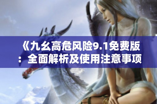 《九幺高危风险9.1免费版：全面解析及使用注意事项》
