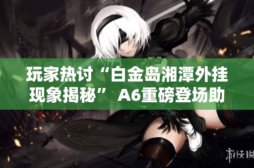 玩家热讨“白金岛湘潭外挂现象揭秘” A6重磅登场助你翻本