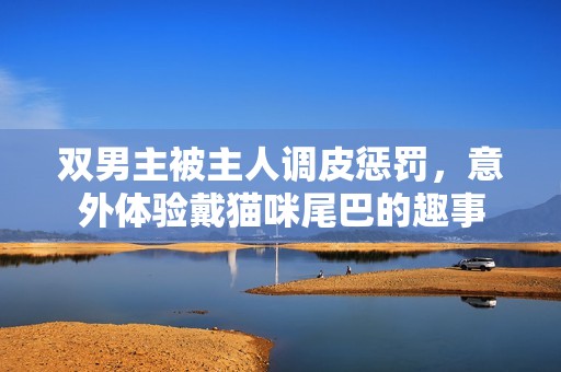 双男主被主人调皮惩罚，意外体验戴猫咪尾巴的趣事