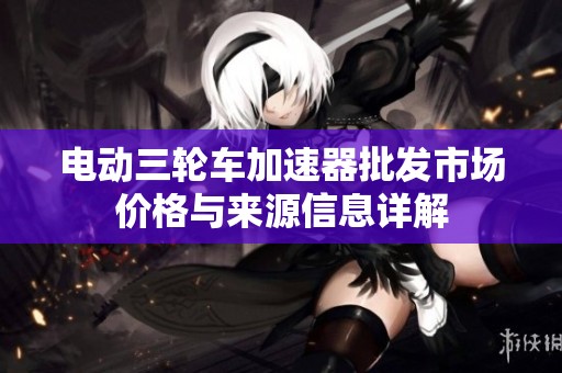 电动三轮车加速器批发市场价格与来源信息详解