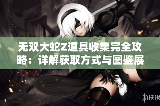 无双大蛇Z道具收集完全攻略：详解获取方式与图鉴展示