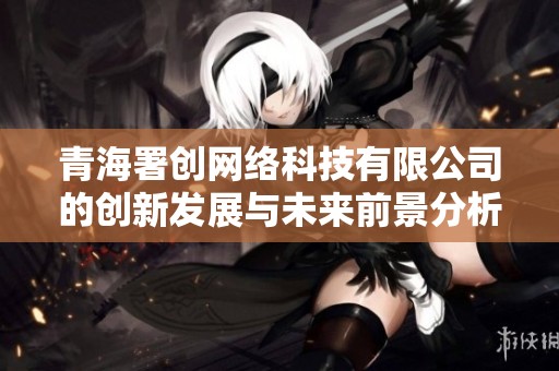 青海署创网络科技有限公司的创新发展与未来前景分析