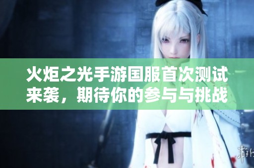 火炬之光手游国服首次测试来袭，期待你的参与与挑战！