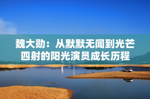 魏大勋：从默默无闻到光芒四射的阳光演员成长历程
