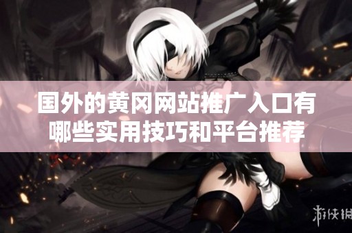国外的黄冈网站推广入口有哪些实用技巧和平台推荐