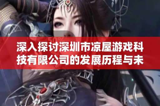 深入探讨深圳市凉屋游戏科技有限公司的发展历程与未来前景