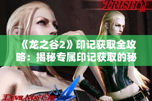 《龙之谷2》印记获取全攻略：揭秘专属印记获取的秘籍与技巧