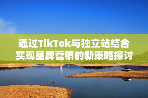 通过TikTok与独立站结合实现品牌营销的新策略探讨