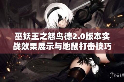 巫妖王之怒鸟德2.0版本实战效果展示与地鼠打击技巧分享