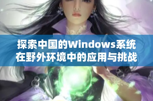 探索中国的Windows系统在野外环境中的应用与挑战