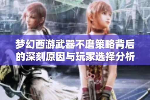 梦幻西游武器不磨策略背后的深刻原因与玩家选择分析