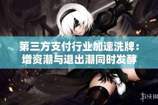 第三方支付行业加速洗牌：增资潮与退出潮同时发酵