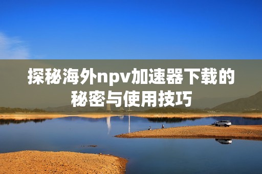 探秘海外npv加速器下载的秘密与使用技巧