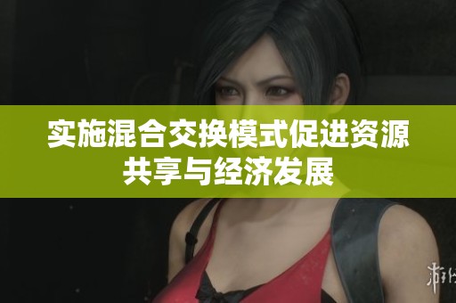 实施混合交换模式促进资源共享与经济发展