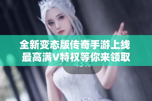 全新变态版传奇手游上线 最高满V特权等你来领取