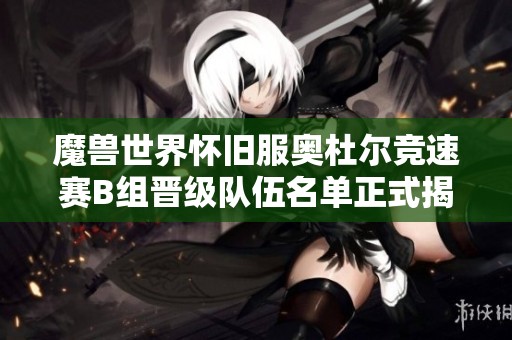 魔兽世界怀旧服奥杜尔竞速赛B组晋级队伍名单正式揭晓