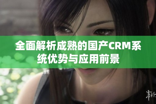 全面解析成熟的国产CRM系统优势与应用前景