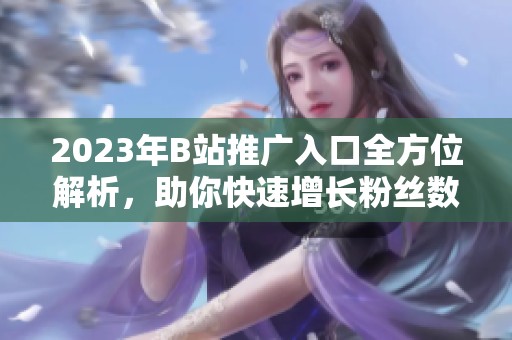 2023年B站推广入口全方位解析，助你快速增长粉丝数量
