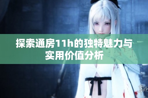 探索通房11h的独特魅力与实用价值分析