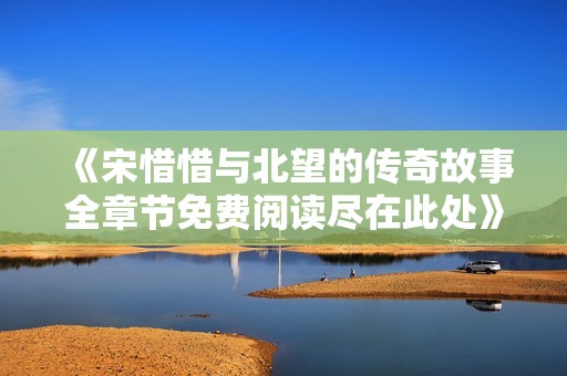 《宋惜惜与北望的传奇故事全章节免费阅读尽在此处》