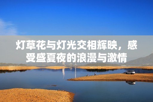灯草花与灯光交相辉映，感受盛夏夜的浪漫与激情