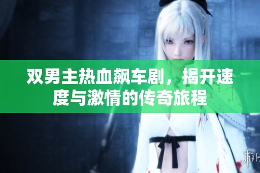 双男主热血飙车剧，揭开速度与激情的传奇旅程