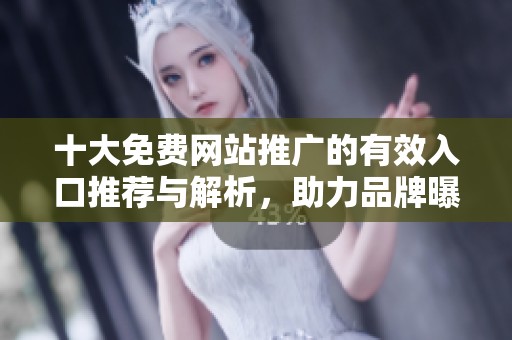 十大免费网站推广的有效入口推荐与解析，助力品牌曝光与流量提升
