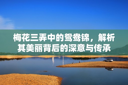 梅花三弄中的鸳鸯锦，解析其美丽背后的深意与传承