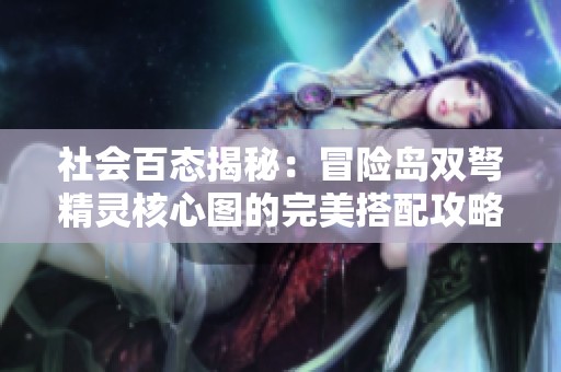 社会百态揭秘：冒险岛双弩精灵核心图的完美搭配攻略