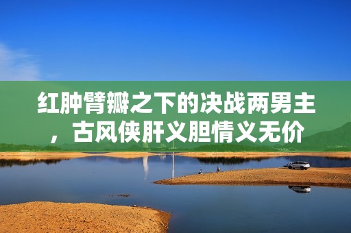 红肿臂瓣之下的决战两男主，古风侠肝义胆情义无价