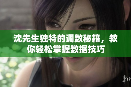 沈先生独特的调数秘籍，教你轻松掌握数据技巧