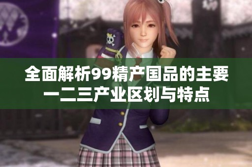 全面解析99精产国品的主要一二三产业区划与特点