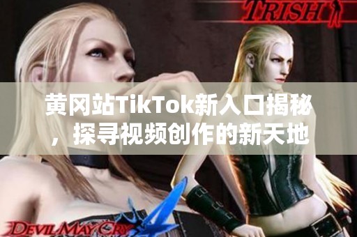黄冈站TikTok新入口揭秘，探寻视频创作的新天地