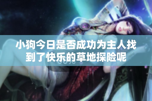 小狗今日是否成功为主人找到了快乐的草地探险呢
