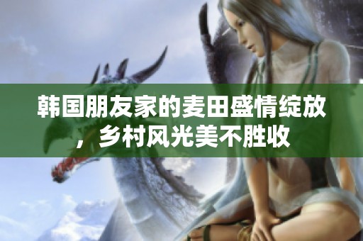 韩国朋友家的麦田盛情绽放，乡村风光美不胜收