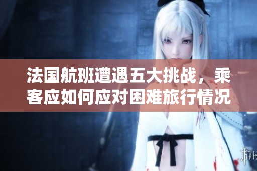 法国航班遭遇五大挑战，乘客应如何应对困难旅行情况