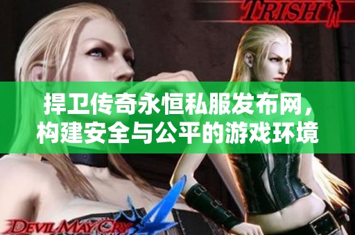 捍卫传奇永恒私服发布网，构建安全与公平的游戏环境