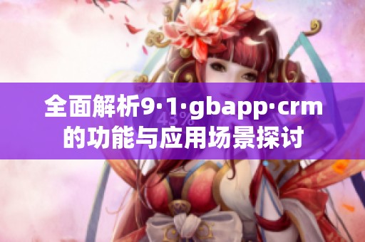 全面解析9·1·gbapp·crm的功能与应用场景探讨